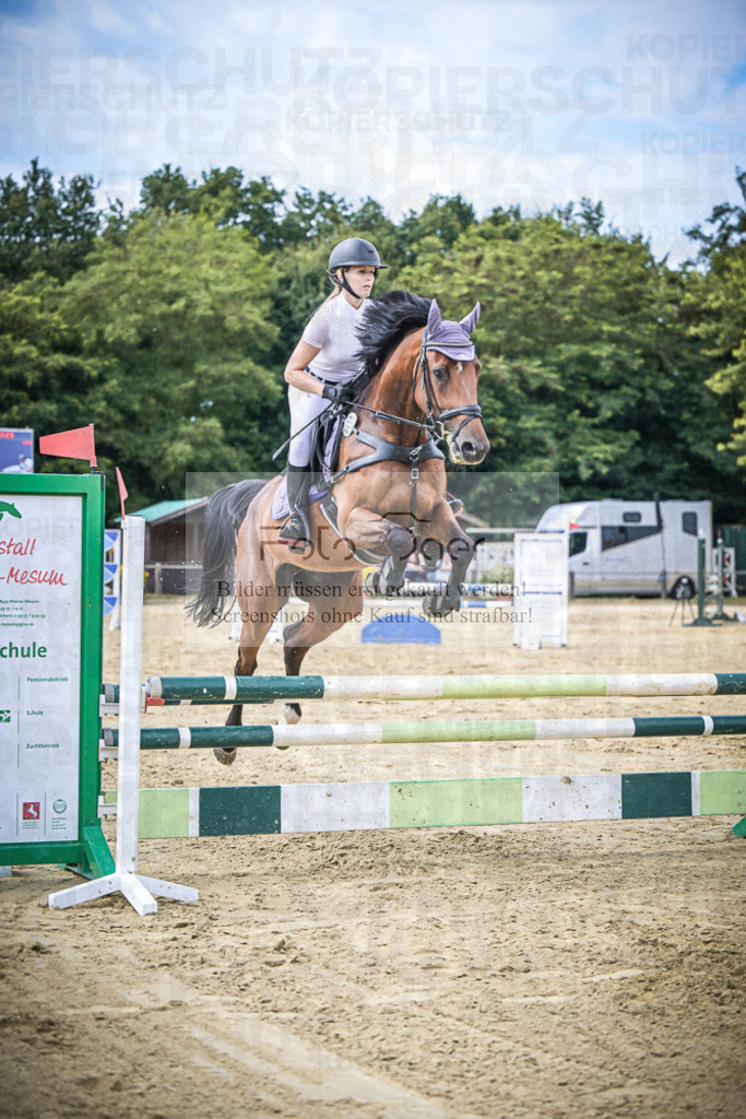 DOS_2781 | Entdecke hochwertige Reitturnierfotos von Foto Oger. Professionell, emotional und authentisch – jetzt Lieblingsmomente im Shop bestellen.Deutschlandweite Turnierfotografie. - Realisiert mit Pictrs.com