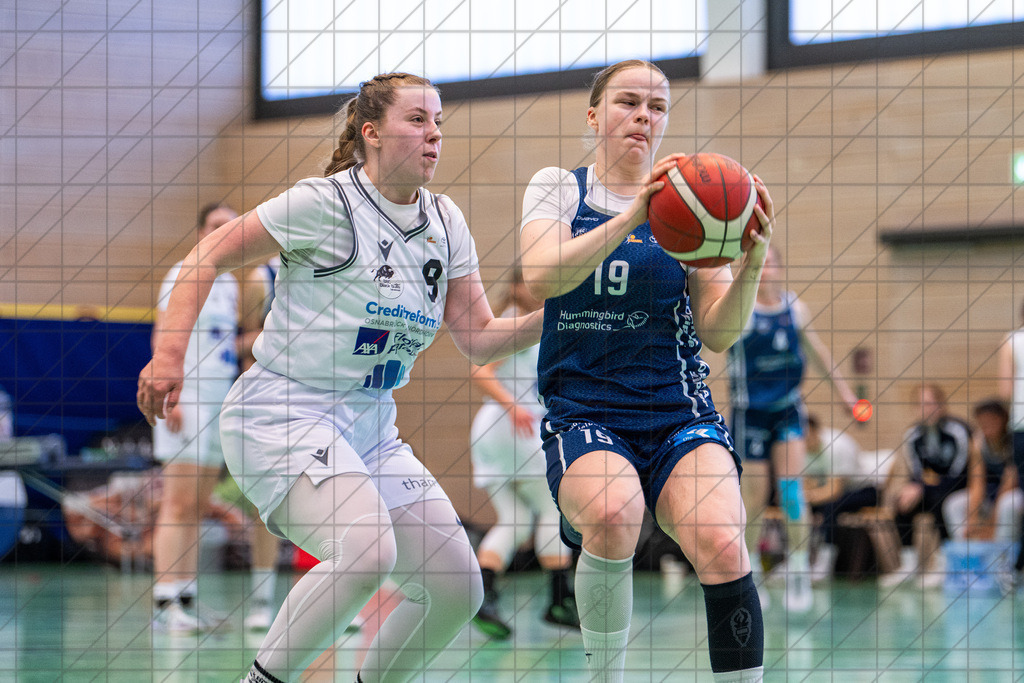 2. DBBL PlayOff 24/25 - BBC Osnabrück vs. BasCats USC Heidelberg - 1/4-Finale, 2. Spiel  | Osnabrück, Deutschland, 27.04.25: 2. DBBL PlayOff 24/25 - BBC Osnabrück vs. BasCats USC Heidelberg - 1/4-Finale, 2. Spiel Im Bild: STEINS Eleah (BasCats USC Heidelberg #19); STROMPEN Tessa (BBC Osnabrück #8)CREDIT:www.bullenfotos.de, Martin Koenig, Hoerner Weg 40, D-49078 Osnabrueck, +4917663732967Nutzung und Weitergabe nur zu den vereinbarten Zwecken. Presseanfragen an Ersteller. Alle Rechte beim Ersteller. Honorierung nach MFM. - Realisiert mit Pictrs.com