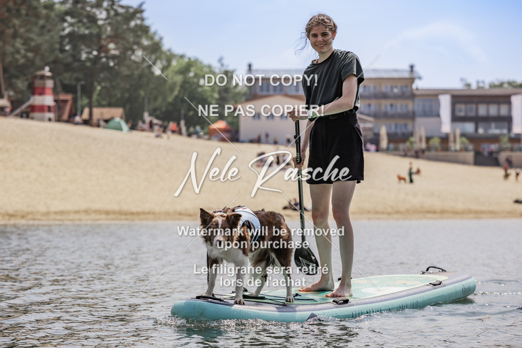 BUHU_SUP_606 | nelerasche