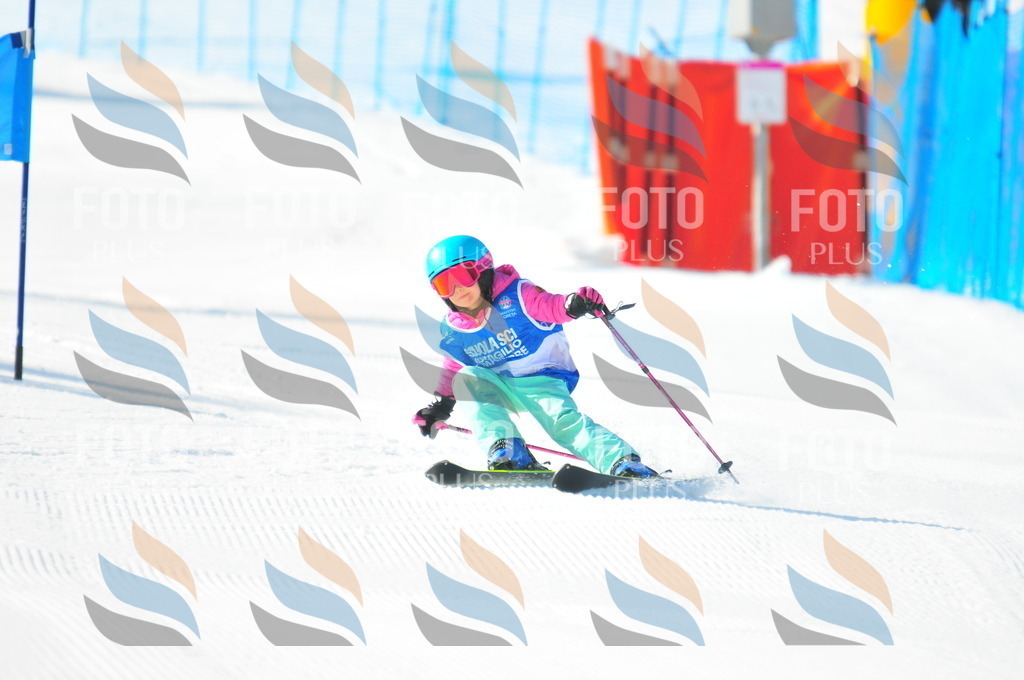 B8910 | holidayphoto