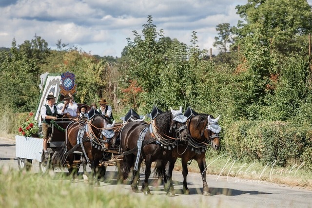 7V6A1534 | natalia-nirschl-photography