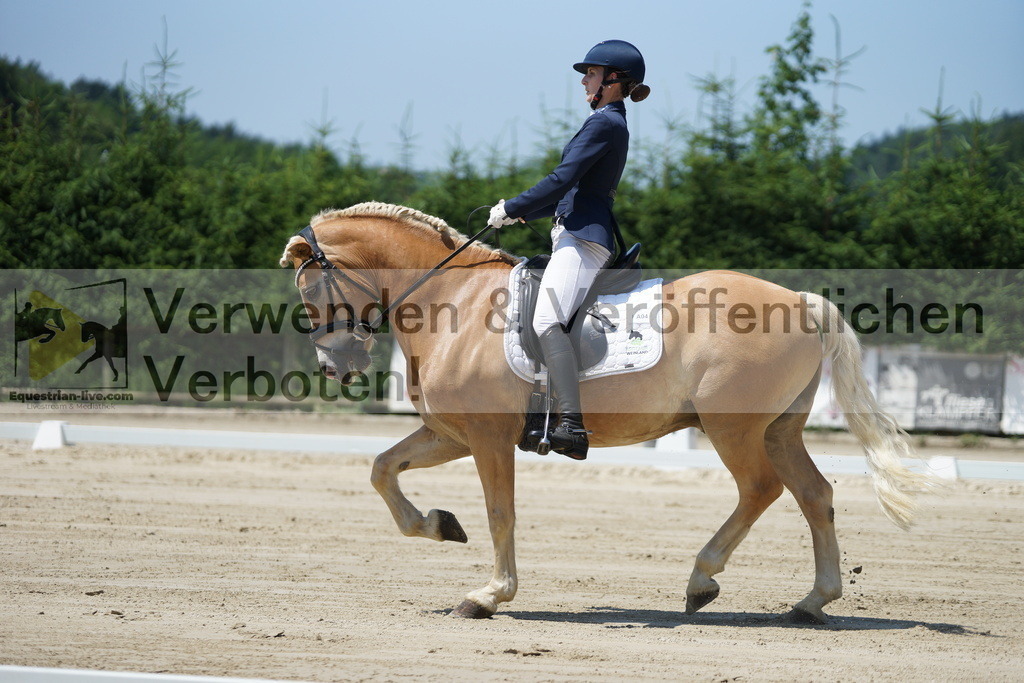 DSC03483 | equestrian-live-com