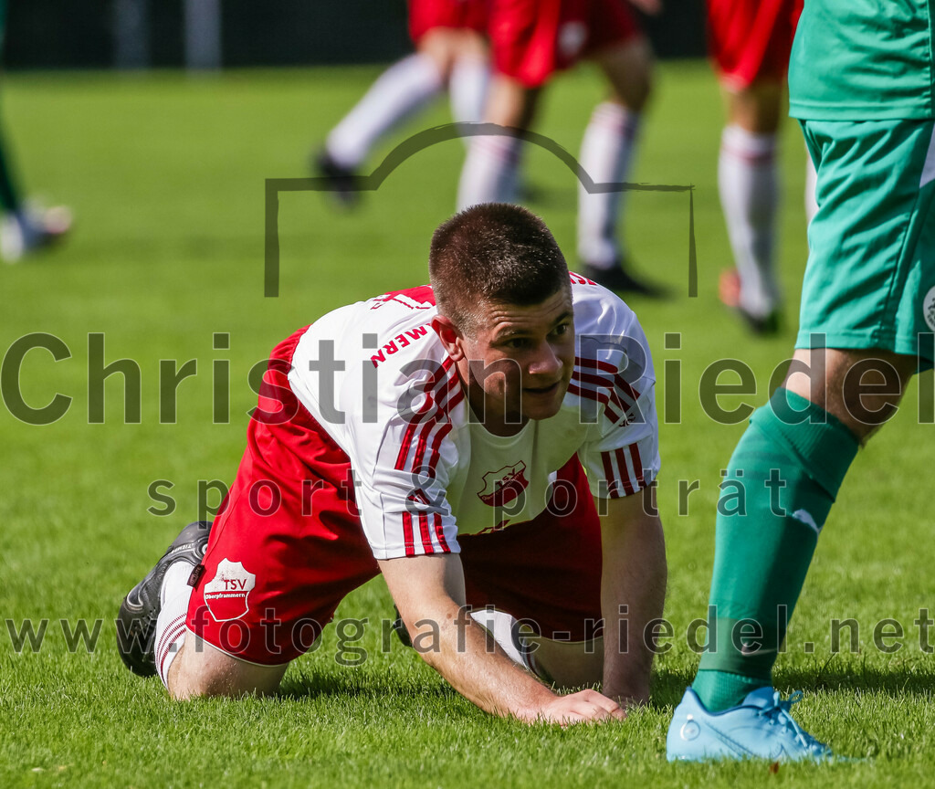 2023-08-26_045_TSV_Ebersberg_gegen_TSV_Oberpframmern | Ebersberg, Deutschland, 26.08.2023:
Fußball, Kreisliga 2023 / 2024, 2. Spieltag, TSV 1877 Ebersberg gegen TSV Oberpframmern, Endergebnis: 5:1

Tobias Lutz (TSV Oberpframmern, #4)

Foto: Christian Riedel / fotografie-riedel.net