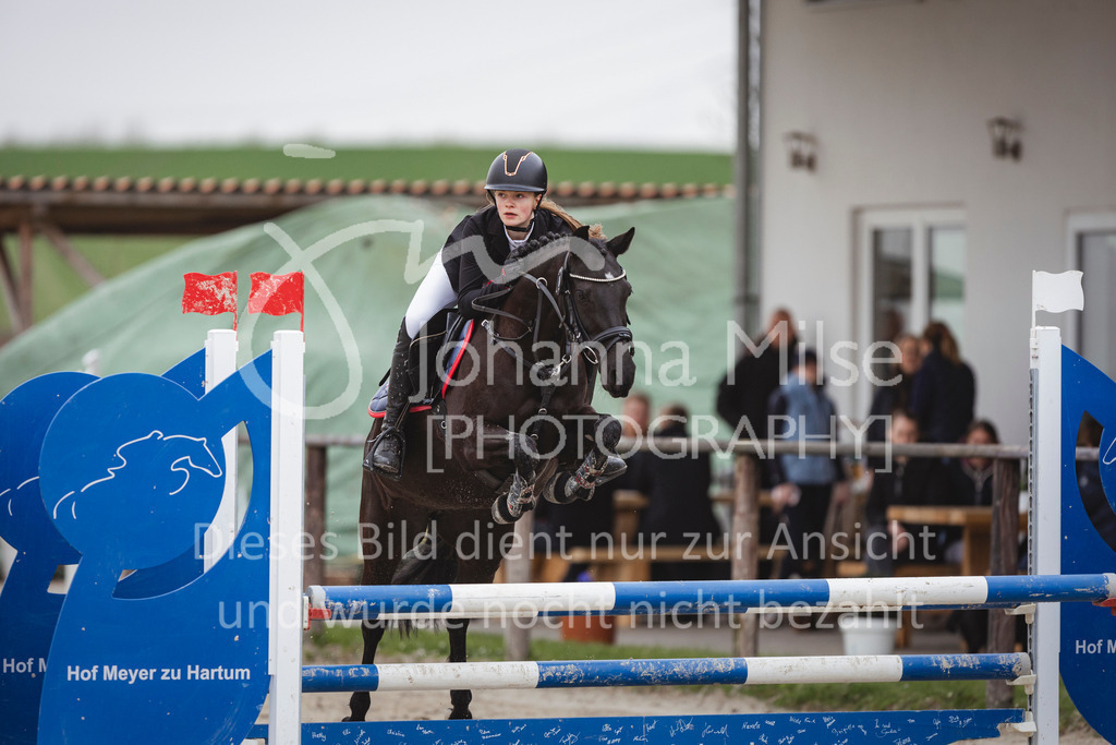 240330_Fruehlingsfest_Stil-A1_U30-441 | Deine schönsten Turniermomente als professionelle Fotos! Entdecke hochwertige Pferdesport-Fotografie im Online-Shop. Jetzt Fotos finden & bestellen!