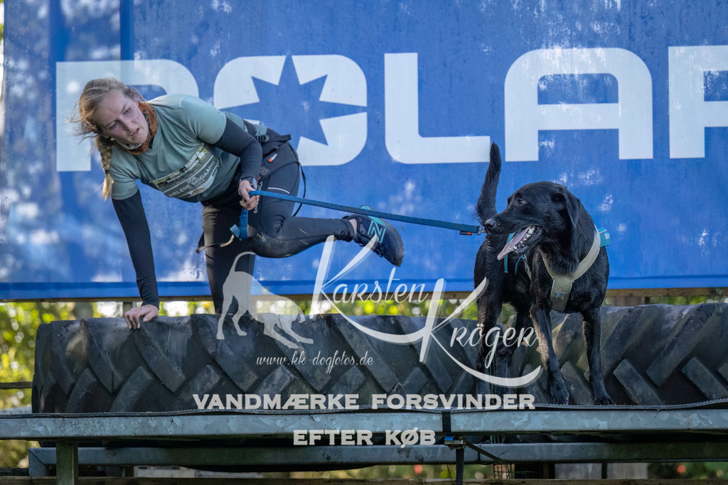 1029--4 | kk-dogfotos