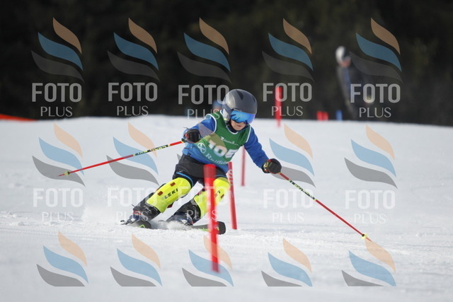 A1279 | holidayphoto