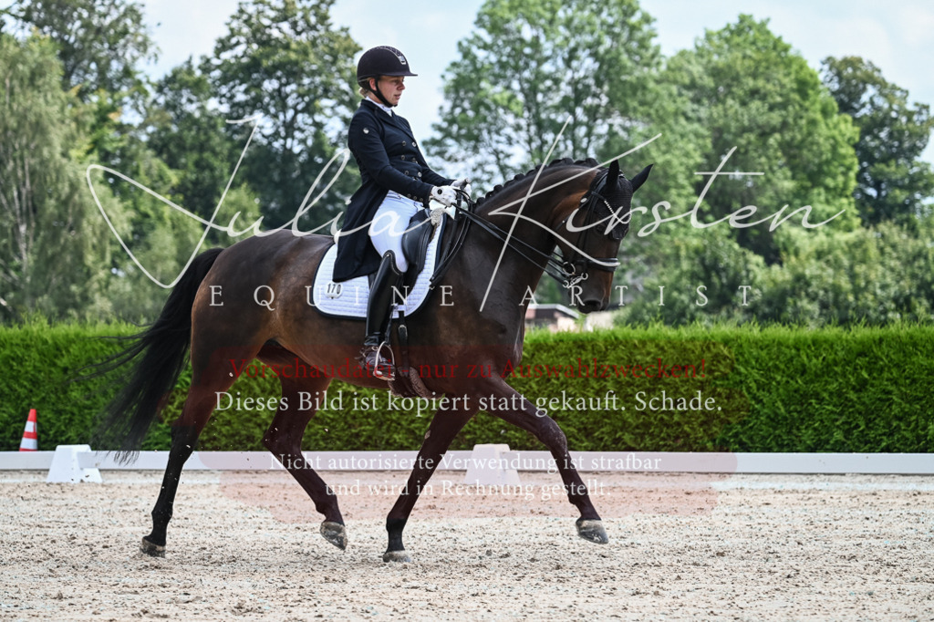 DSC_2562 | Pferde- und Turnierfotografie in Westsachsen. Pferdeportraits, Auftragszeichnungen und intuitive Kunst.