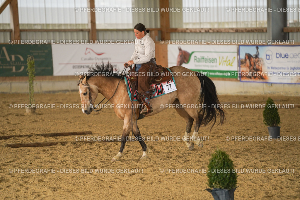 DSC03227 | Pferdegrafie