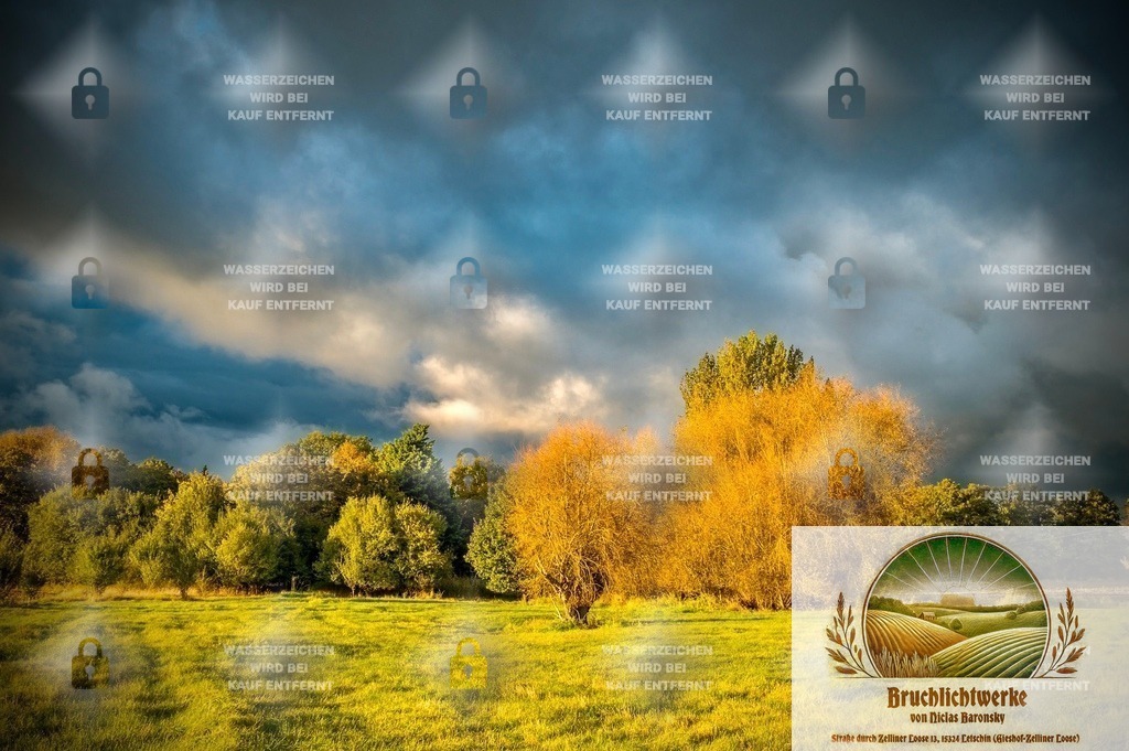 Herbstloose | Landschaftsfotografie aus dem Oderbruch: Fine-Art-Prints im Shop, Fotoworkshops und ausgewählte Hochzeiten in Märkisch-Oderland & Oder-Spree.