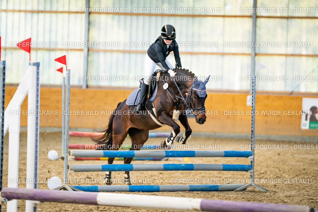 DSC00895 | Pferdegrafie