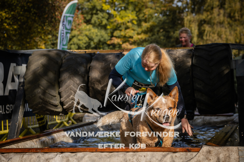 1157_ZZ93914 | kk-dogfotos