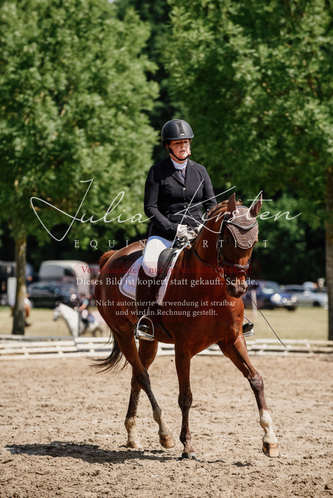 DSC_1305 | Pferde- und Turnierfotografie in Westsachsen. Pferdeportraits, Auftragszeichnungen und intuitive Kunst.