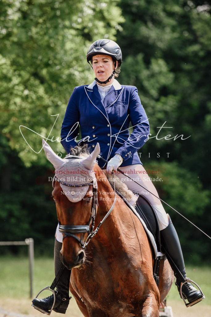 DSC_1185 | Pferde- und Turnierfotografie in Westsachsen. Pferdeportraits, Auftragszeichnungen und intuitive Kunst.