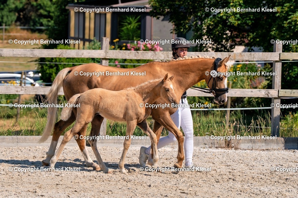 2A906712 | foto-team-bernhard - Realisiert mit Pictrs.com