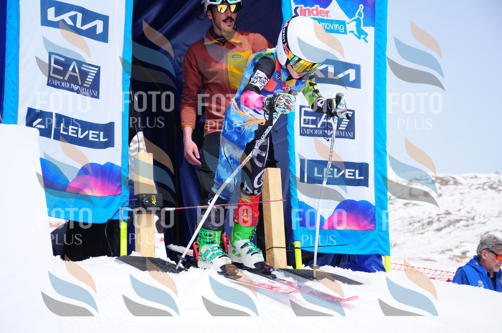 DSC_2265 | holidayphoto