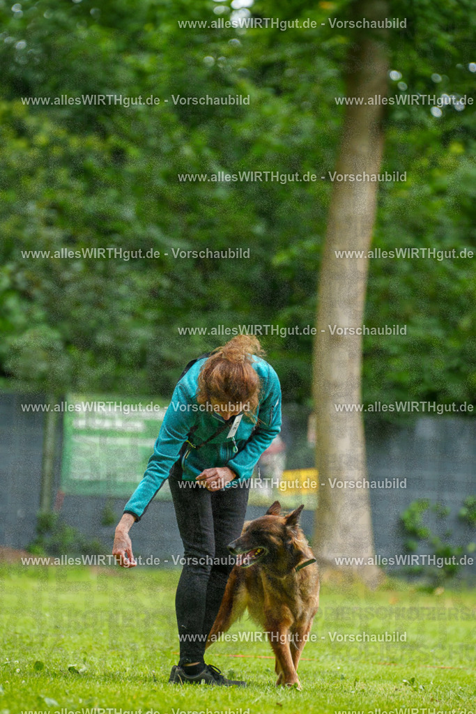 @allesWIRTHgut_Tierfotografie - www.allesWIRTHgut.de - 102056-7R508382 | Professionelle Tierfotografie in Mönchengladbach von Daniel Wirth (allesWIRTHgut). Liebevolle & natürliche Bilder von Hunden & Katzen für unvergessliche Erinnerungen.