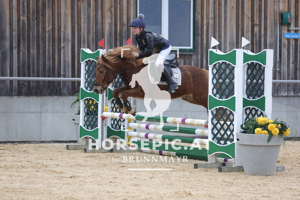 0P6A7281 | Willkommen bei Brunnmayr - Design & Fotografie – Ihrem Spezialisten für Reitturniere und Pferdeveranstaltungen in Oberösterreich, Salzburg und Bayern! Seit über 17 Jahren sind wir leidenschaftlich dabei.