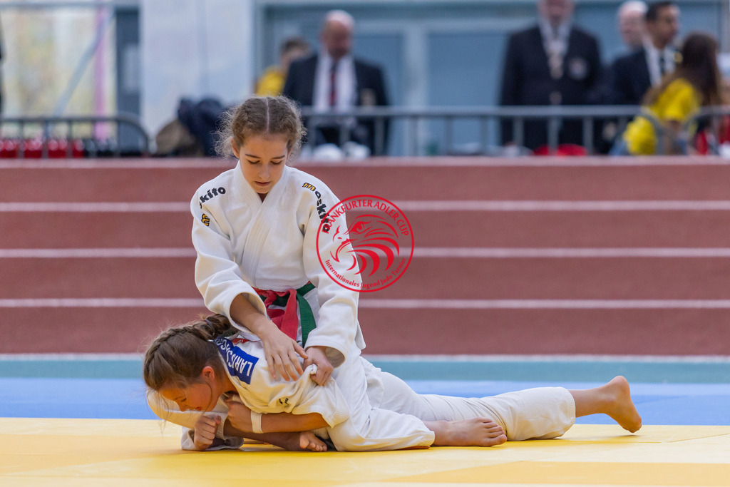 Internationaler Adler Cup 2024 | Foto vom Internationalen Adler Cup Judo Turnier im Sport- und Freizeitzentrum Kalbach im Oktober 2024 - Realisiert mit Pictrs.com