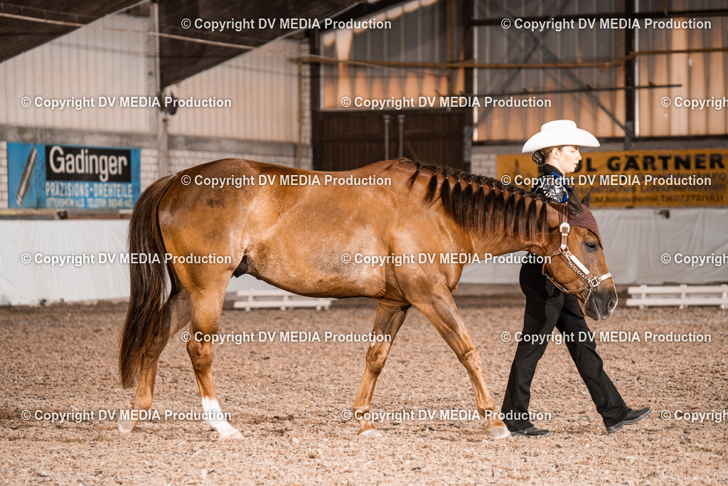 ZH200190 | dv-media-shop - Realisiert mit Pictrs.com