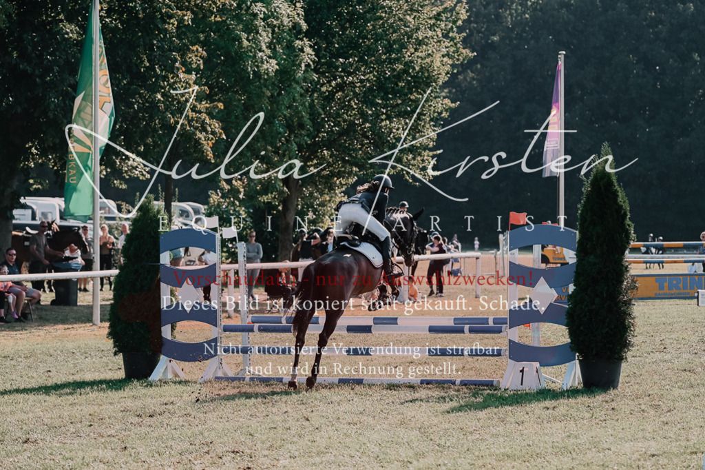 DSC_4682 | Pferde- und Turnierfotografie in Westsachsen. Pferdeportraits, Auftragszeichnungen und intuitive Kunst.
