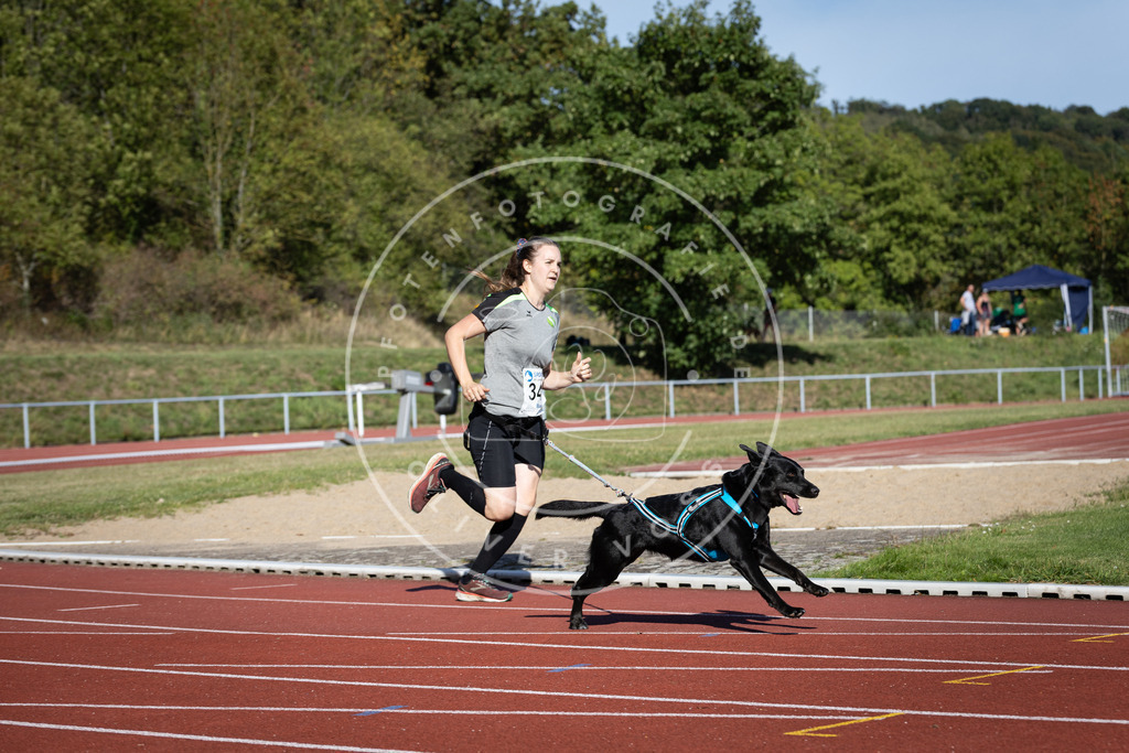 Pfotenfotografie_DV3A8663 | Hundefotografie, Tierfotograf, Pfotenfotografie, Fotoshooting Hund, Hunde Portrait, Hundesport, Hundeportraits, Heideshooting, Hunde, Sportfotograf, Hundefotograf, Turnierhundsport, THS,  - Realisiert mit Pictrs.com