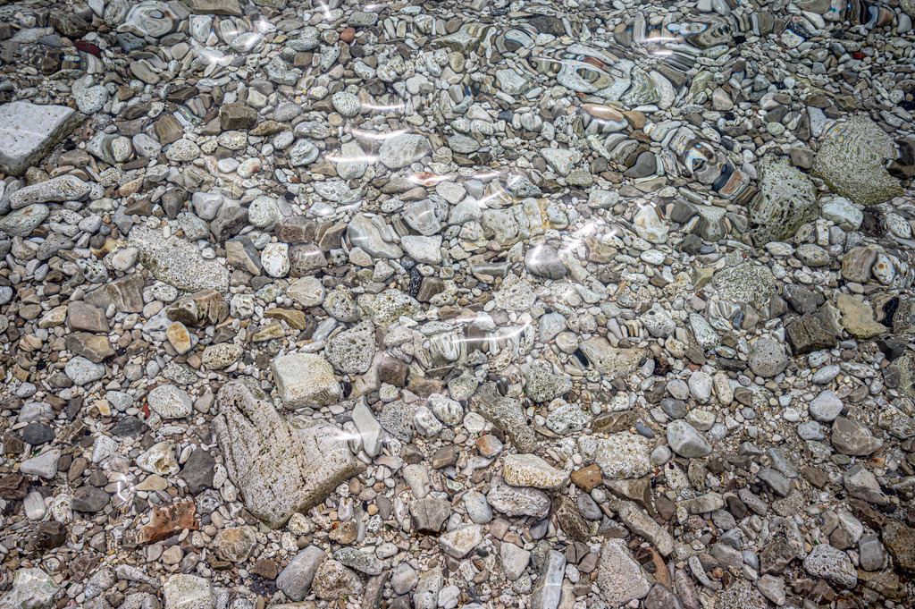 _DSC1550 | renerovisanfotoart.com