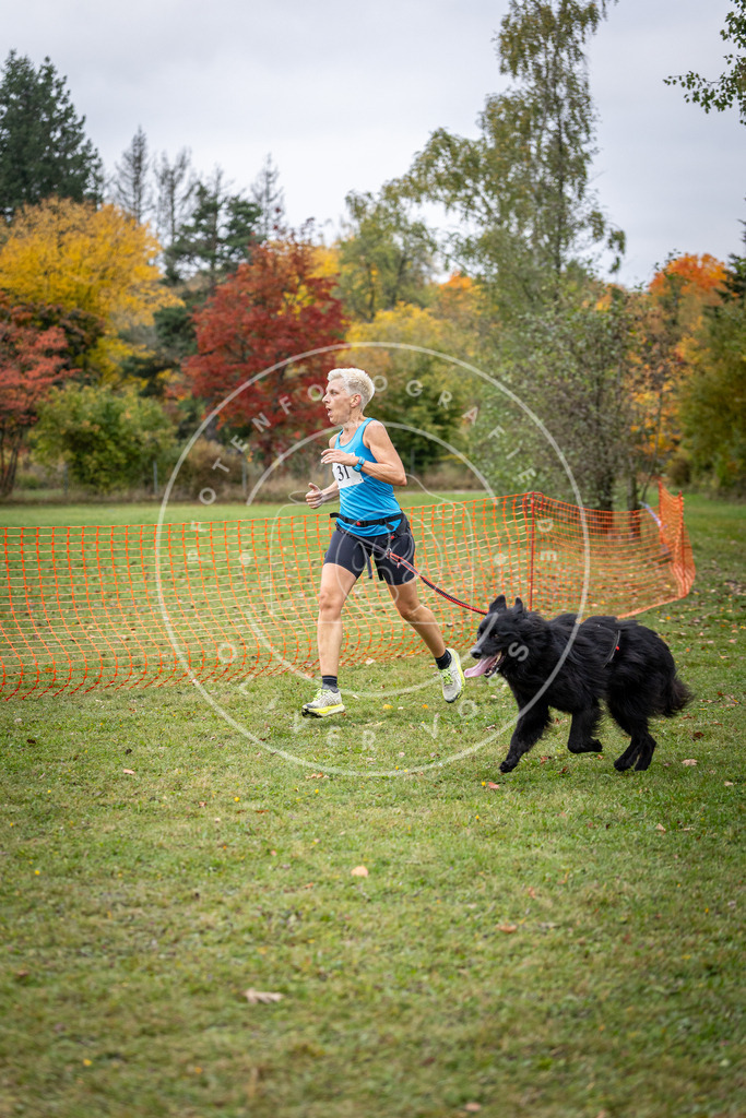 Pfotenfotografie_DV3A2117 | Hundefotografie, Tierfotograf, Pfotenfotografie, Fotoshooting Hund, Hunde Portrait, Hundesport, Hundeportraits, Heideshooting, Hunde, Sportfotograf, Hundefotograf, Turnierhundsport, THS,  - Realisiert mit Pictrs.com