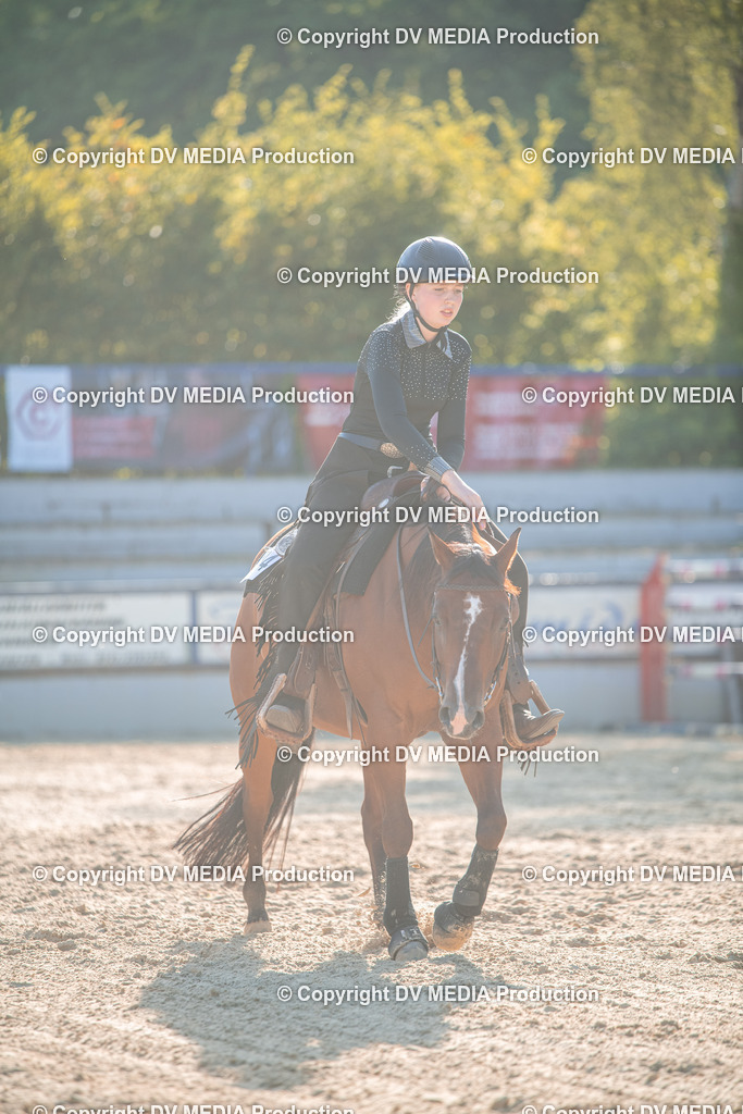 EWP_7127 | dv-media-shop - Realisiert mit Pictrs.com