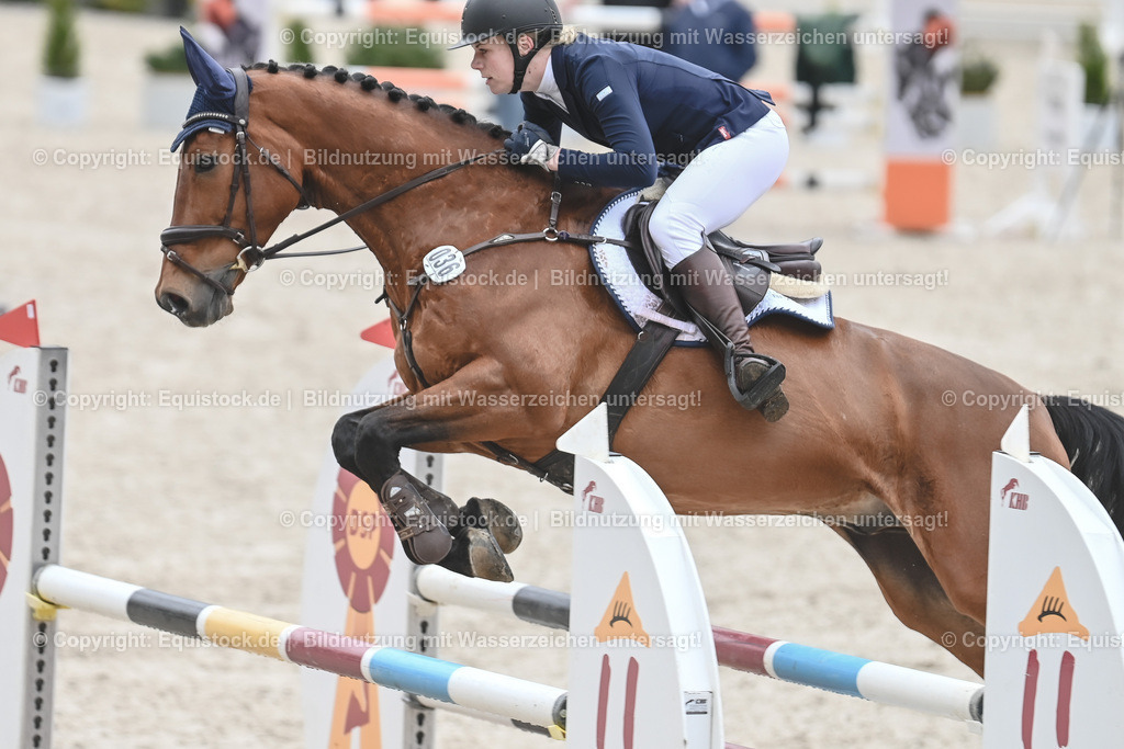 20230514_CCI2_Section1_Springen_0024 | equistock