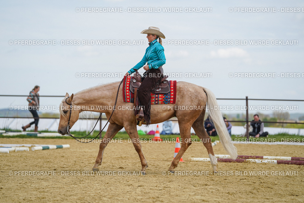 DSC05423 | Pferdegrafie