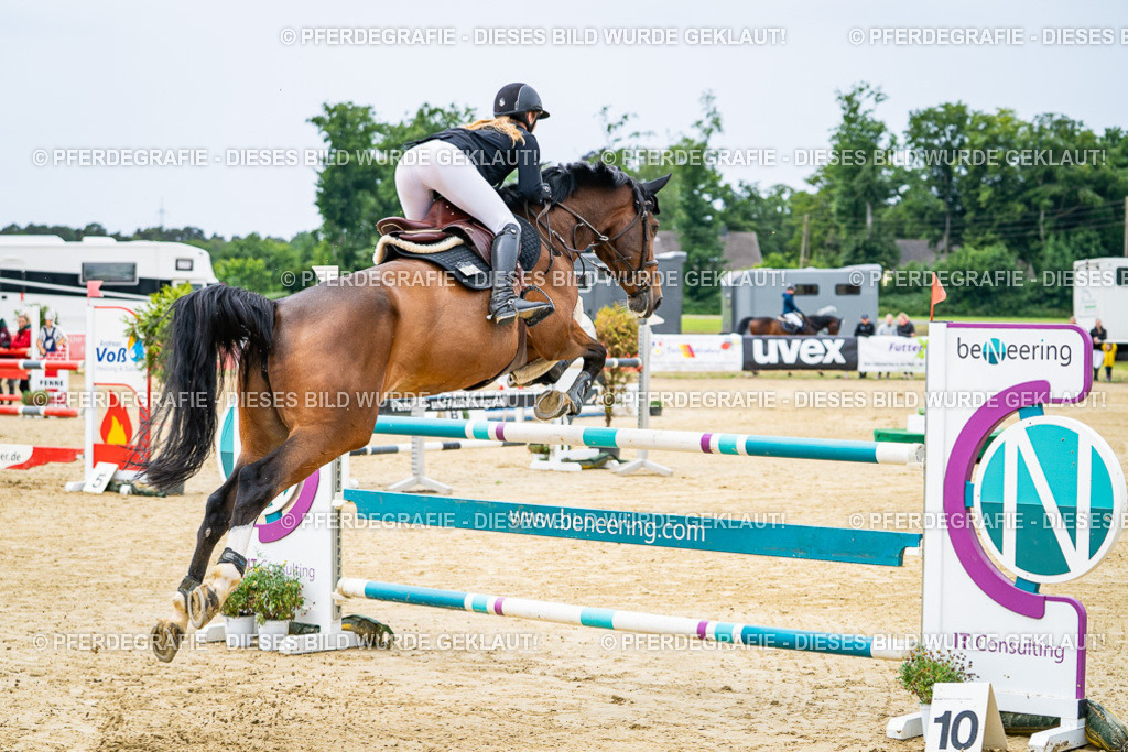 DSC06567 | Pferdegrafie