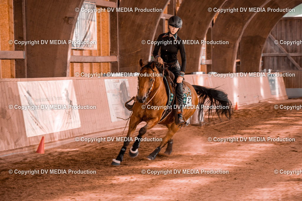 NE201162 | dv-media-shop - Realisiert mit Pictrs.com