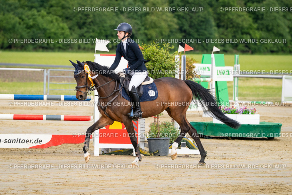 DSC03240 | Pferdegrafie