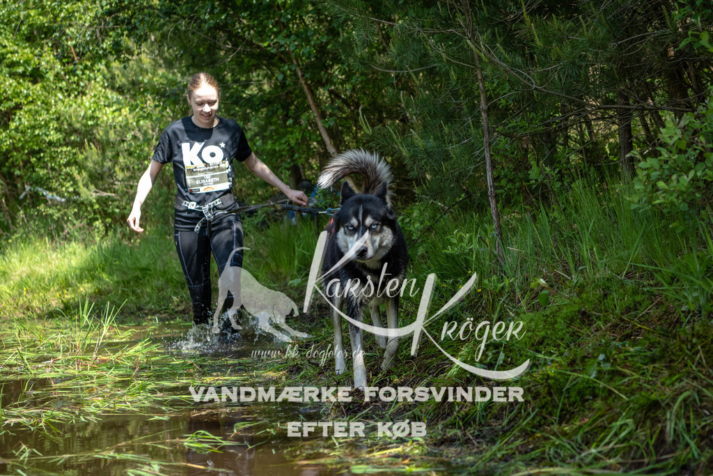 1152DKK991370 | kk-dogfotos