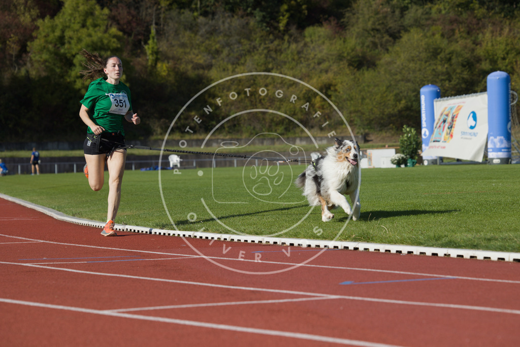 0L8A9709 | Hundefotografie, Tierfotograf, Pfotenfotografie, Fotoshooting Hund, Hunde Portrait, Hundesport, Hundeportraits, Heideshooting, Hunde, Sportfotograf, Hundefotograf, Turnierhundsport, THS,  - Realisiert mit Pictrs.com