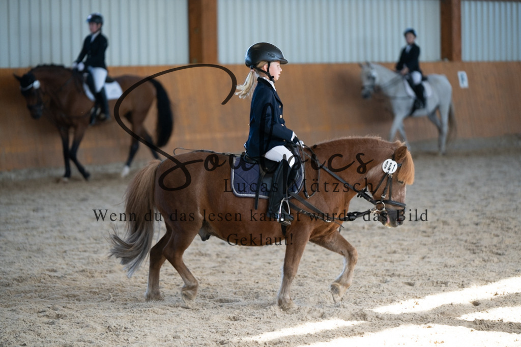 A7V02141 | Turnier/Reitfotograf