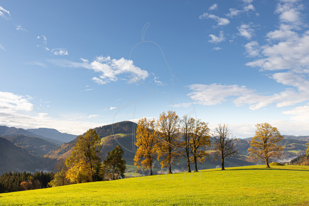 Herbst über Ybbsitz | Bei Veröffentlichung des Bildes ist eine Namensnennung wie folgt erforderlich: 
Foto: Mostdirn Irmgard Wieser
 - Realisiert mit Pictrs.com