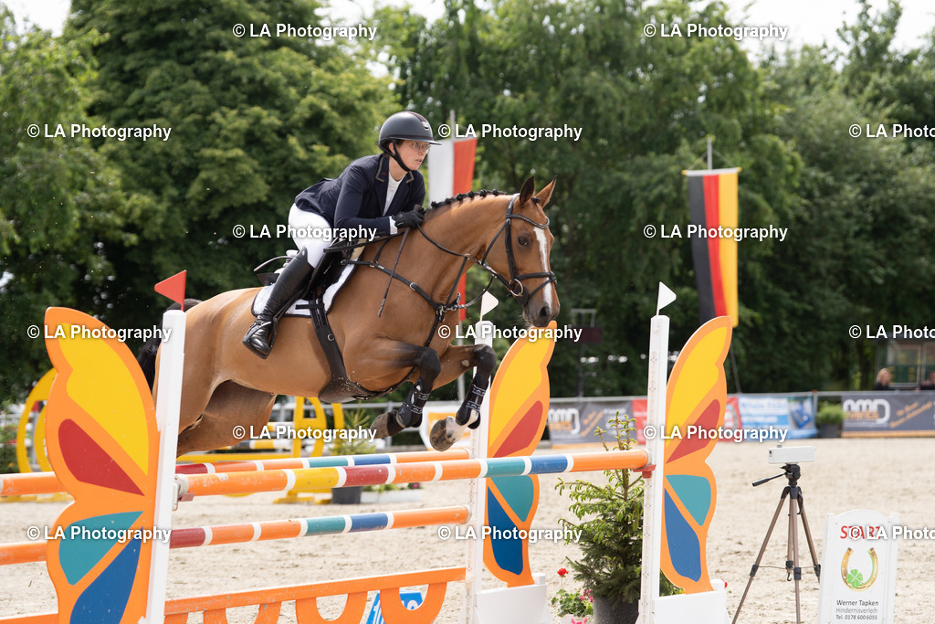 DSC05324 | Entdecke einzigartige Turnierfotos und persönliche Pferde- und Hundeportraits bei LA Photography. Für jeden Reiter und Pferd das perfekte Bild! Stöbere jetzt! - Realisiert mit Pictrs.com