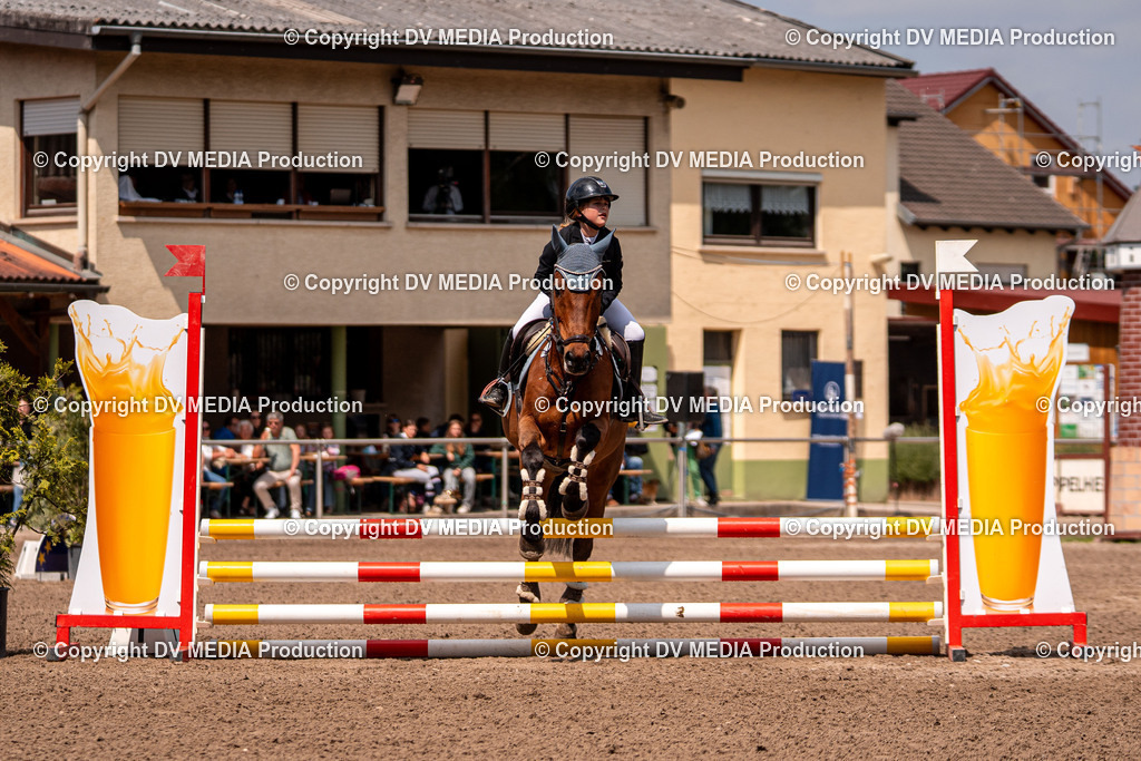 Eppelheim Tag 3-533 | dv-media-shop - Realisiert mit Pictrs.com