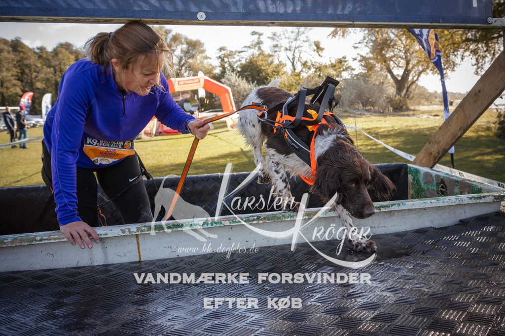 1225_ZZ96158 | kk-dogfotos