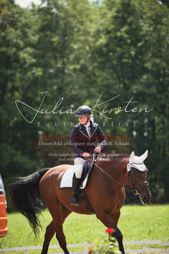 DSC_1489 | Pferde- und Turnierfotografie in Westsachsen. Pferdeportraits, Auftragszeichnungen und intuitive Kunst.