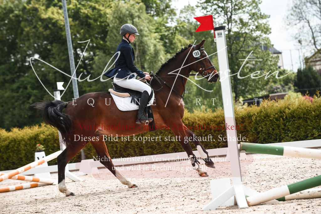 20230518_JK-Röhrsdorf-10-079 | Pferde- und Turnierfotografie in Westsachsen. Pferdeportraits, Auftragszeichnungen und intuitive Kunst.