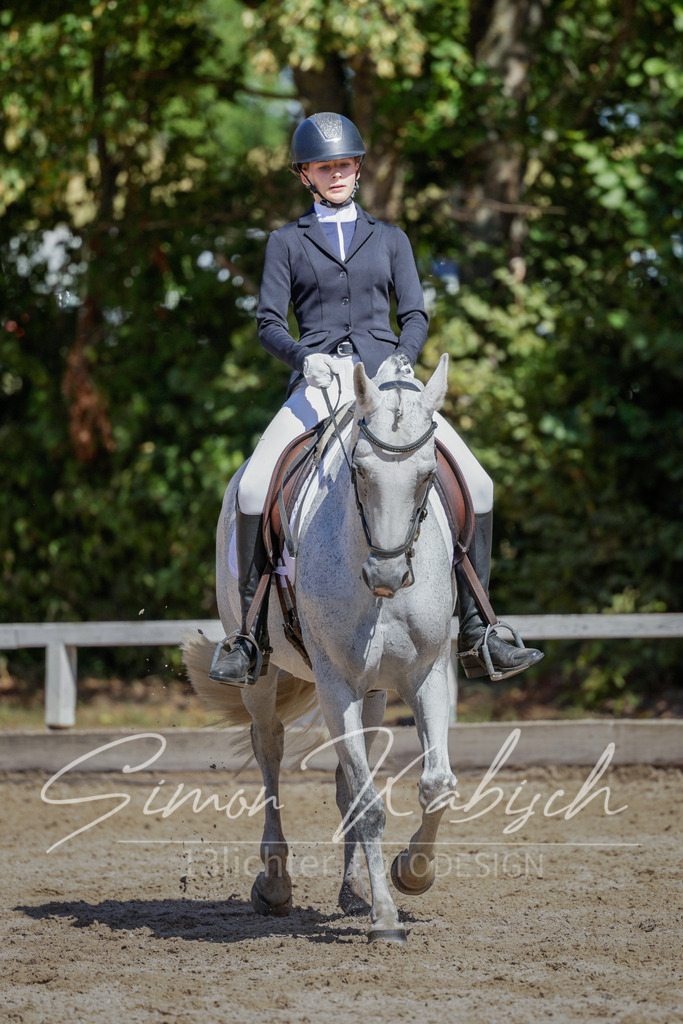 20250906-_3LI4593 | Tierfotografie Pferde, Hunde, Katzen, Haustiere.
Turnierfotografie Reitturniere, Reiten, Springreiten, Dressur in Hanau, dem Main-Kinzig-Kreis und dem Rhein-Main- Gebiet um Frankfurt