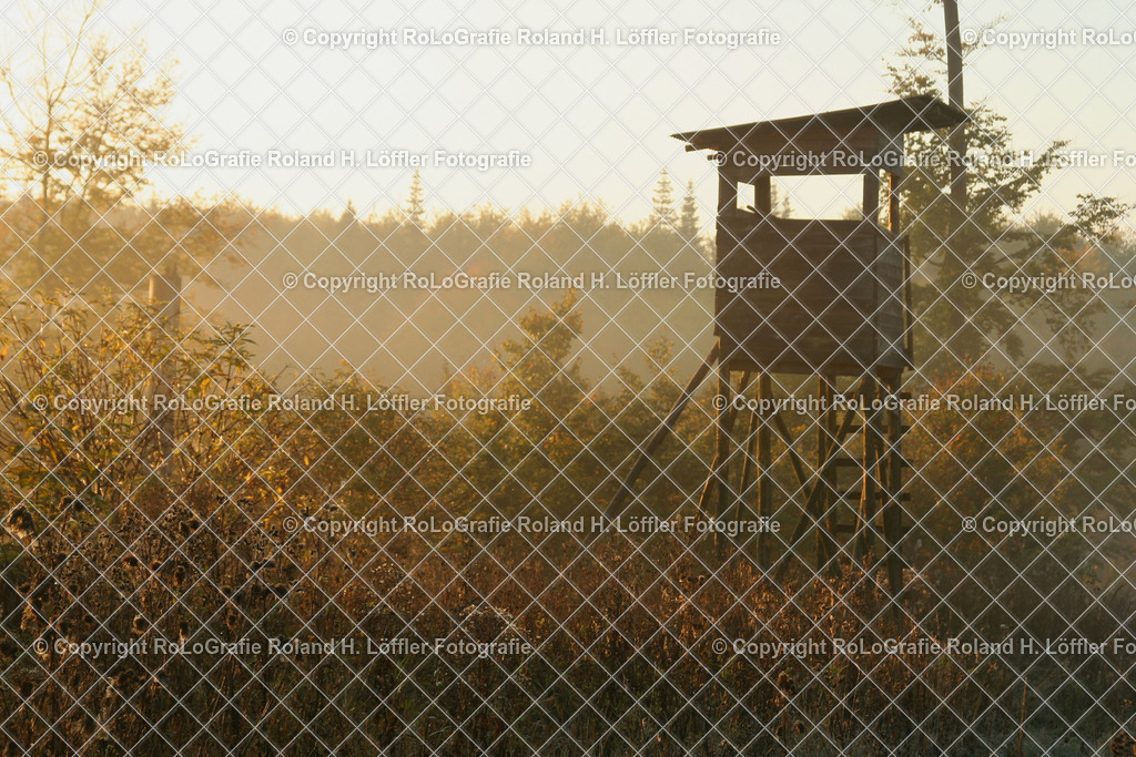 Hochsitz | Hochsitz im Morgennebel, mystisches Licht - Realisiert mit Pictrs.com