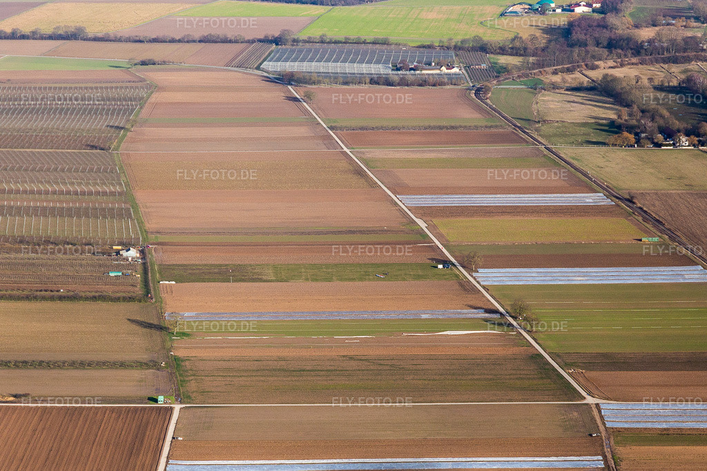 Luftbild: Ortsansicht im Ortsteil Mühlhofen in Billigheim-Ingenheim im Bundesland Rheinland-Pfalz in Deutschland. Foto: IMG_112654.jpg vom 13.02.2019 durch Werner Riehm/FLY-FOTO.de