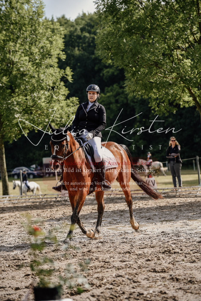 DSC_9031 | Pferde- und Turnierfotografie in Westsachsen. Pferdeportraits, Auftragszeichnungen und intuitive Kunst.