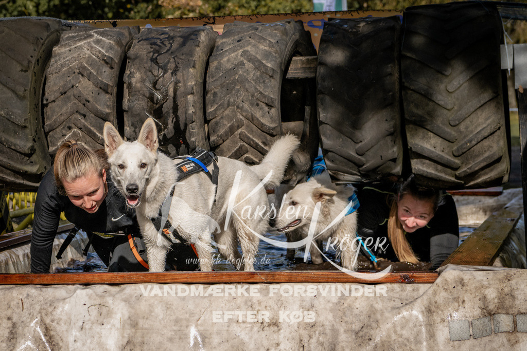 1305_ZZ91889 | kk-dogfotos