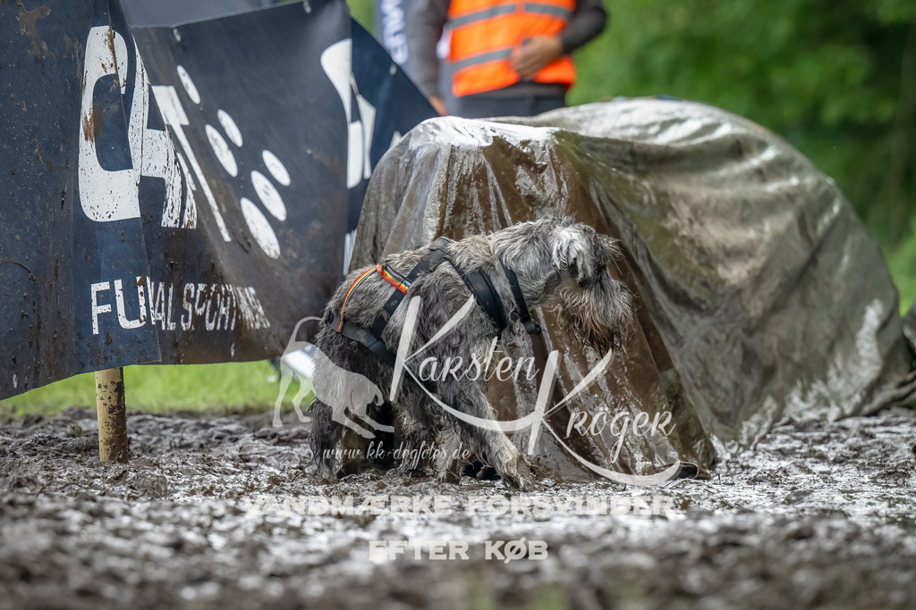 1158_ZZ90574-Bearbeitet | kk-dogfotos