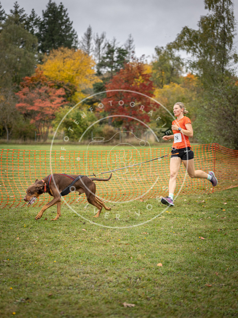 Pfotenfotografie_DV3A2989 | Hundefotografie, Tierfotograf, Pfotenfotografie, Fotoshooting Hund, Hunde Portrait, Hundesport, Hundeportraits, Heideshooting, Hunde, Sportfotograf, Hundefotograf, Turnierhundsport, THS,  - Realisiert mit Pictrs.com