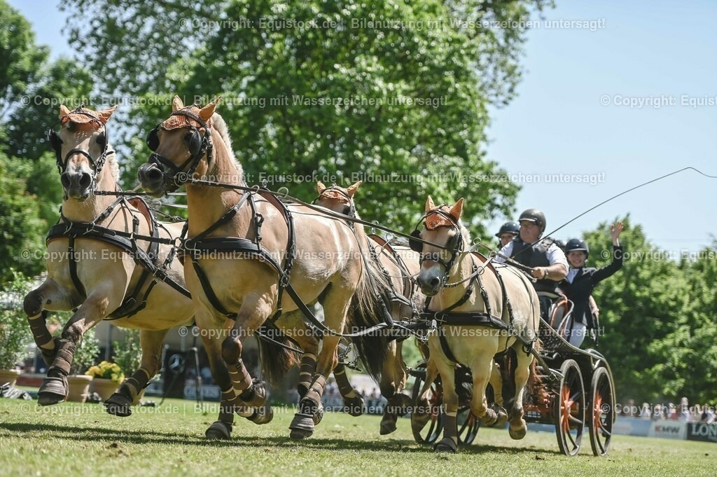 20230528_Jump-and-Drive_0298 | equistock